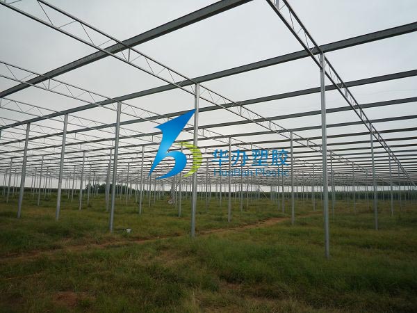 連云港東?？h雙店鎮(zhèn)溫室大棚PC陽光板