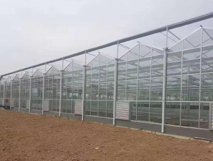 PC薄膜溫室大棚可以防風嗎？