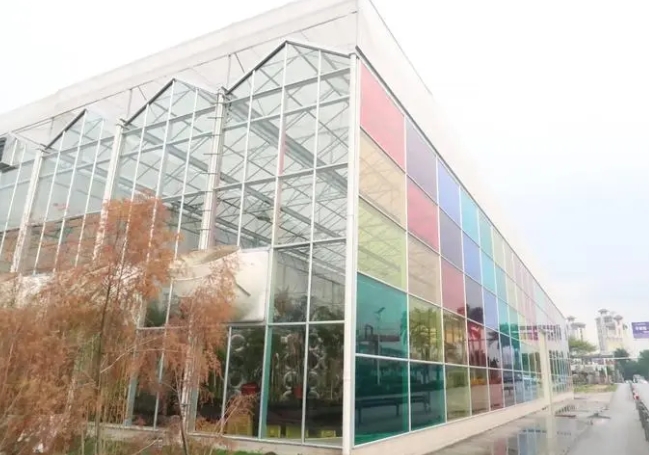 PC陽光板溫室大棚的優(yōu)點(diǎn)和缺點(diǎn)