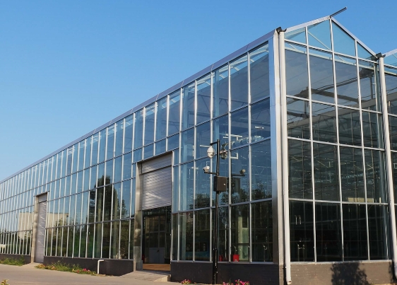 PC陽光板溫室大棚建造方案（分享）